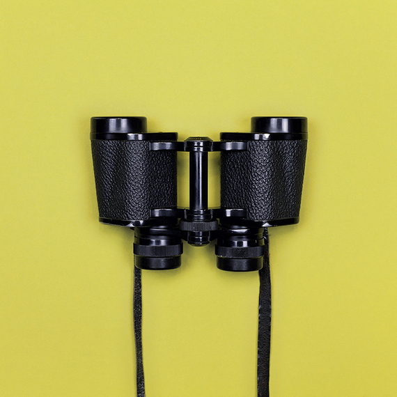 Das Bild zeigt ein Fernglas auf hellgrünem Untergrund. / The image shows a spyglass on a lightgreen background.